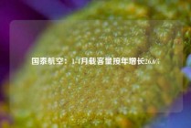 国泰航空：1-4月载客量按年增长26.6%
