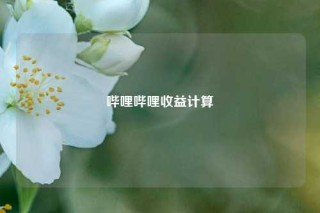 哔哩哔哩收益计算