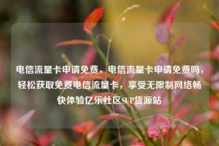 电信流量卡申请免费，电信流量卡申请免费吗，轻松获取免费电信流量卡，享受无限制网络畅快体验亿乐社区SUP货源站