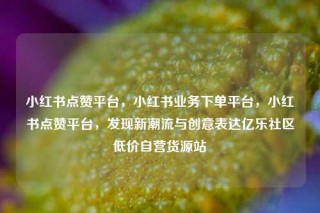 小红书点赞平台，小红书业务下单平台，小红书点赞平台，发现新潮流与创意表达亿乐社区低价自营货源站