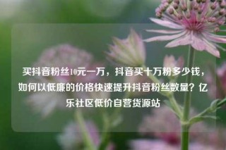 买抖音粉丝10元一万，抖音买十万粉多少钱，如何以低廉的价格快速提升抖音粉丝数量？亿乐社区低价自营货源站