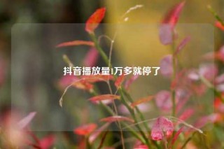 抖音播放量1万多就停了