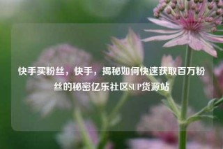 快手买粉丝，快手，揭秘如何快速获取百万粉丝的秘密亿乐社区SUP货源站