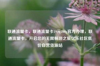 联通流量卡，联通流量卡19元200g官方办理，联通流量卡，开启您的无限畅游之旅亿乐社区低价自营货源站