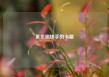 低价刷快手的卡盟
