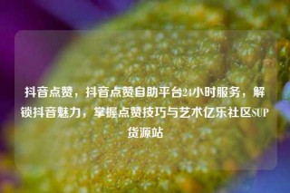 抖音点赞，抖音点赞自助平台24小时服务，解锁抖音魅力，掌握点赞技巧与艺术亿乐社区SUP货源站