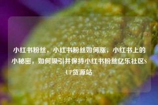小红书粉丝，小红书粉丝如何涨，小红书上的小秘密，如何吸引并保持小红书粉丝亿乐社区SUP货源站