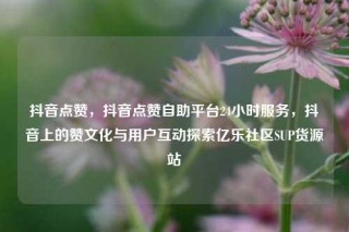 抖音点赞，抖音点赞自助平台24小时服务，抖音上的赞文化与用户互动探索亿乐社区SUP货源站