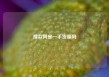 搜款网是一手货源吗