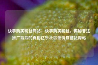 快手购买粉丝网站，快手购买粉丝，揭秘非法推广背后的真相亿乐社区低价自营货源站