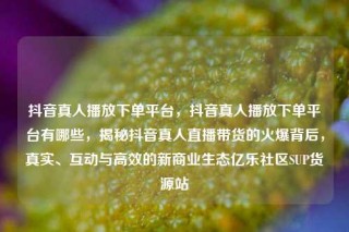 抖音真人播放下单平台，抖音真人播放下单平台有哪些，揭秘抖音真人直播带货的火爆背后，真实、互动与高效的新商业生态亿乐社区SUP货源站