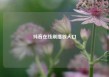抖音在线刷播放入口
