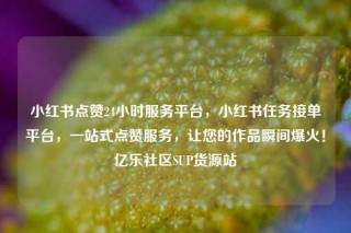 小红书点赞24小时服务平台，小红书任务接单平台，一站式点赞服务，让您的作品瞬间爆火！亿乐社区SUP货源站