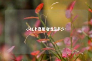小红书客服电话是多少?