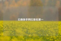 云南快手网红排名第一