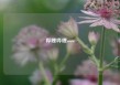 哔哩哔哩www