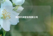 陕西玖润管业有限公司