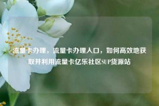 流量卡办理，流量卡办理入口，如何高效地获取并利用流量卡亿乐社区SUP货源站