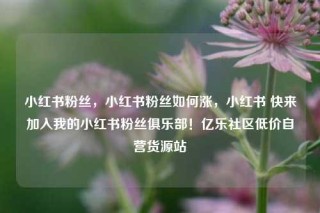小红书粉丝，小红书粉丝如何涨，小红书 快来加入我的小红书粉丝俱乐部！亿乐社区低价自营货源站