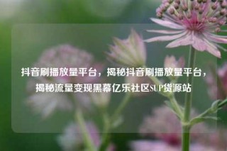 抖音刷播放量平台，揭秘抖音刷播放量平台，揭秘流量变现黑幕亿乐社区SUP货源站