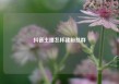 抖音主播怎样建粉丝群