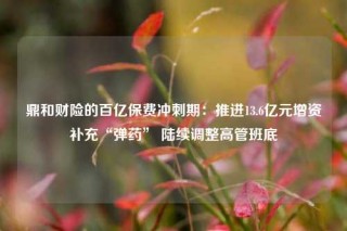 鼎和财险的百亿保费冲刺期：推进13.6亿元增资补充“弹药” 陆续调整高管班底