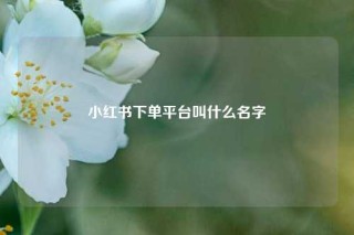 小红书下单平台叫什么名字