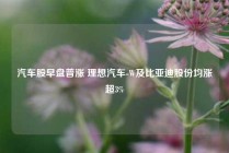 汽车股早盘普涨 理想汽车-W及比亚迪股份均涨超3%