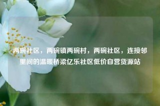 两碗社区，两碗镇两碗村，两碗社区，连接邻里间的温暖桥梁亿乐社区低价自营货源站