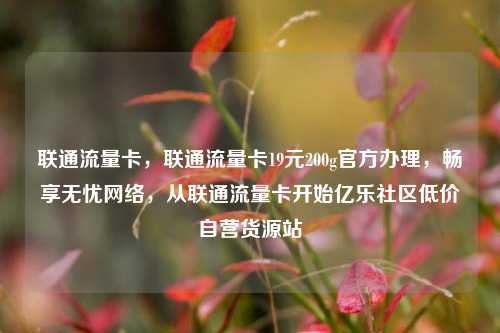 联通流量卡，联通流量卡19元200g官方办理	，畅享无忧网络，从联通流量卡开始亿乐社区低价自营货源站  第1张