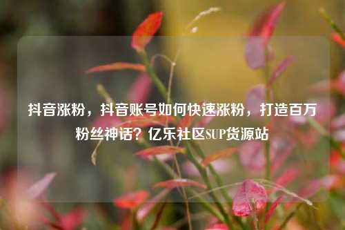 抖音涨粉，抖音账号如何快速涨粉，打造百万粉丝神话？亿乐社区SUP货源站  第1张