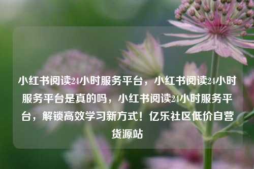小红书阅读24小时服务平台，小红书阅读24小时服务平台是真的吗	，小红书阅读24小时服务平台，解锁高效学习新方式！亿乐社区低价自营货源站  第1张