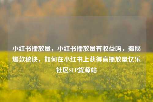 小红书播放量，小红书播放量有收益吗，揭秘爆款秘诀	，如何在小红书上获得高播放量亿乐社区SUP货源站  第1张