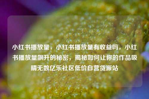 小红书播放量，小红书播放量有收益吗，小红书播放量飙升的秘密	，揭秘如何让你的作品吸睛无数亿乐社区低价自营货源站  第1张
