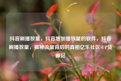 抖音刷播放量	，抖音增加播放量的软件，抖音刷播放量，揭秘流量背后的真相亿乐社区SUP货源站  第1张