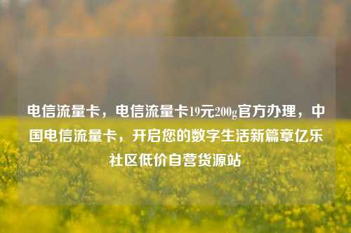 电信流量卡	，电信流量卡19元200g官方办理，中国电信流量卡，开启您的数字生活新篇章亿乐社区低价自营货源站  第1张
