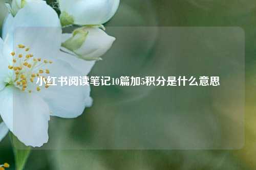 小红书阅读笔记10篇加5积分是什么意思  第1张