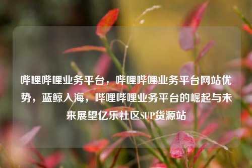哔哩哔哩业务平台，哔哩哔哩业务平台网站优势	，蓝鲸入海，哔哩哔哩业务平台的崛起与未来展望亿乐社区SUP货源站  第1张