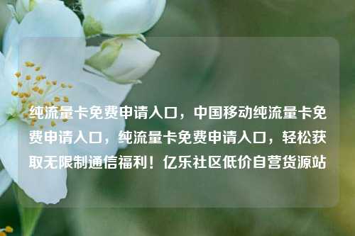 纯流量卡免费申请入口，中国移动纯流量卡免费申请入口，纯流量卡免费申请入口，轻松获取无限制通信福利！亿乐社区低价自营货源站  第1张