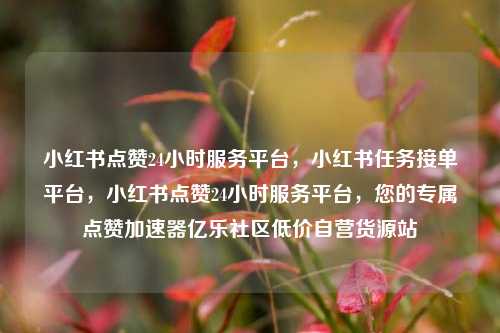 小红书点赞24小时服务平台，小红书任务接单平台，小红书点赞24小时服务平台	，您的专属点赞加速器亿乐社区低价自营货源站  第1张