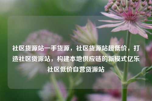 社区货源站一手货源	，社区货源站超低价，打造社区货源站，构建本地供应链的新模式亿乐社区低价自营货源站  第1张