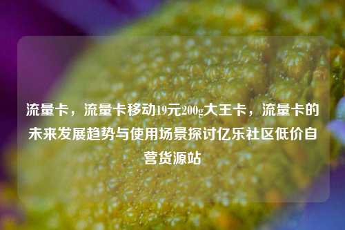 流量卡	，流量卡移动19元200g大王卡，流量卡的未来发展趋势与使用场景探讨亿乐社区低价自营货源站  第1张