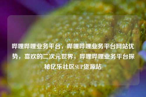 哔哩哔哩业务平台，哔哩哔哩业务平台网站优势	，喜欢的二次元世界，哔哩哔哩业务平台探秘亿乐社区SUP货源站  第1张