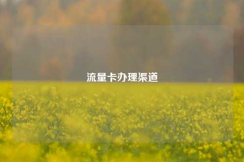 流量卡办理渠道  第1张