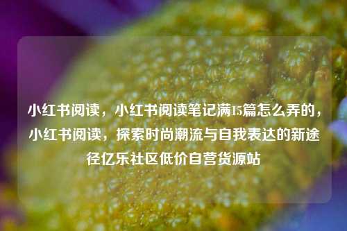 小红书阅读，小红书阅读笔记满15篇怎么弄的	，小红书阅读，探索时尚潮流与自我表达的新途径亿乐社区低价自营货源站  第1张