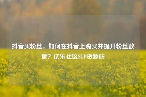 抖音买粉丝，如何在抖音上购买并提升粉丝数量？亿乐社区SUP货源站  第1张