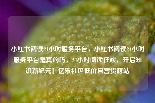 小红书阅读24小时服务平台，小红书阅读24小时服务平台是真的吗	，24小时阅读狂欢，开启知识新纪元！亿乐社区低价自营货源站  第1张
