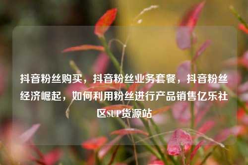 抖音粉丝购买，抖音粉丝业务套餐，抖音粉丝经济崛起	，如何利用粉丝进行产品销售亿乐社区SUP货源站  第1张