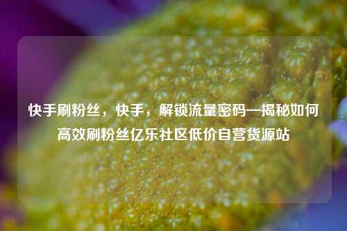 快手刷粉丝，快手，解锁流量密码—揭秘如何高效刷粉丝亿乐社区低价自营货源站  第1张
