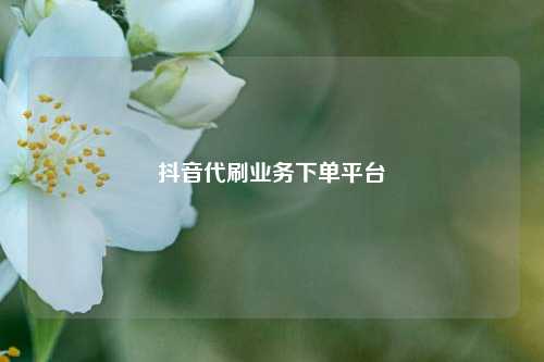 抖音代刷业务下单平台  第1张